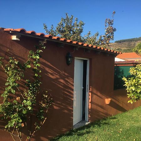 Villa - Torres Vedras, Lisbon Country Side Almeirinhos de Baixo 외부 사진