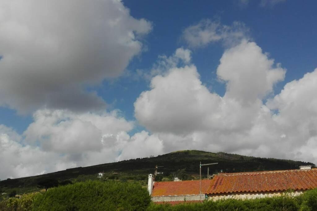 Villa - Torres Vedras, Lisbon Country Side Almeirinhos de Baixo 외부 사진