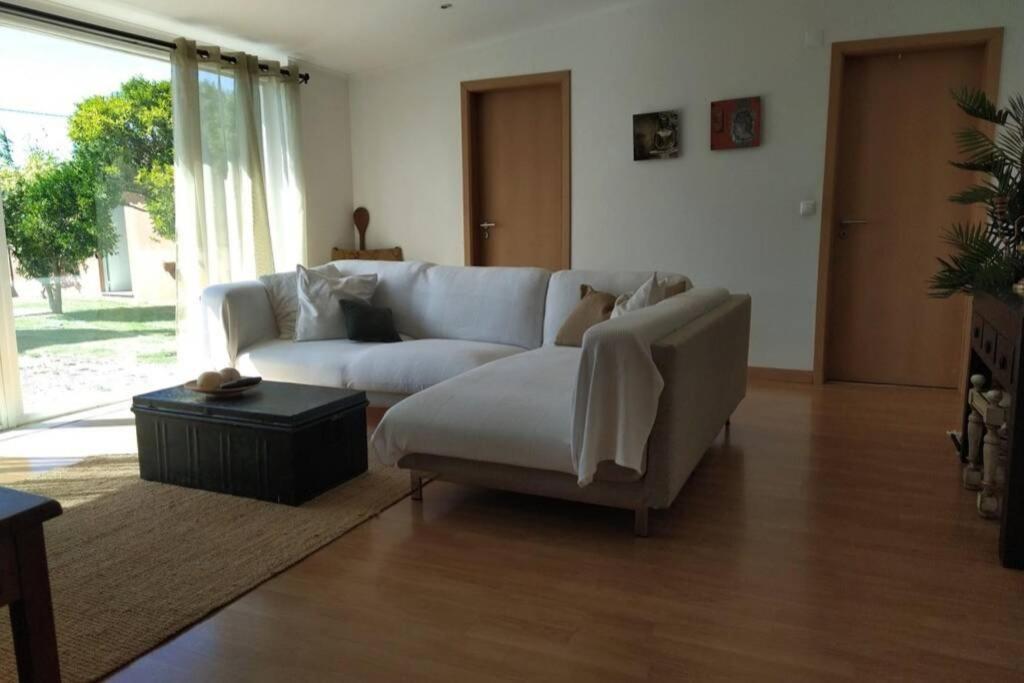 Villa - Torres Vedras, Lisbon Country Side Almeirinhos de Baixo 외부 사진