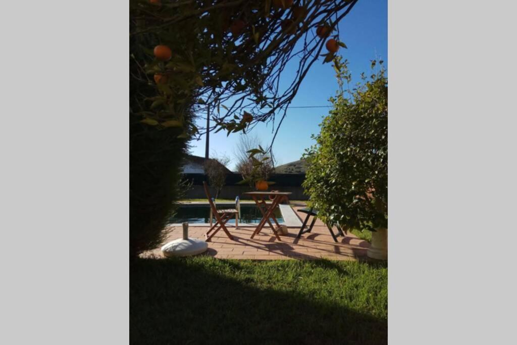 Villa - Torres Vedras, Lisbon Country Side Almeirinhos de Baixo 외부 사진